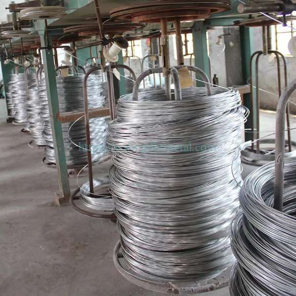 Stainless Steel Others